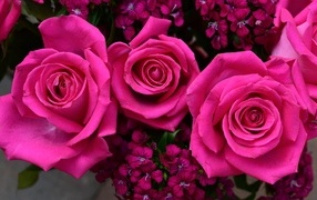 Букет розовых роз с гвоздикой