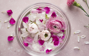 Стеклянный сосуд с оборванными цветами розы и лютика