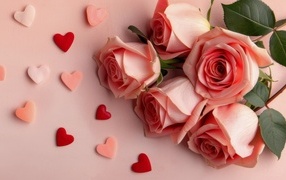 Розовые розы с маленькими сердечками на розовом фоне