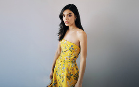 Милая молодая брюнетка актриса Рэйчел Зеглер на сером фоне