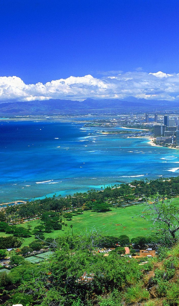 Океан и город