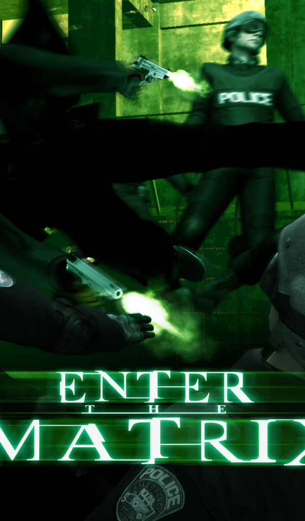 enter the Matrix Игра
