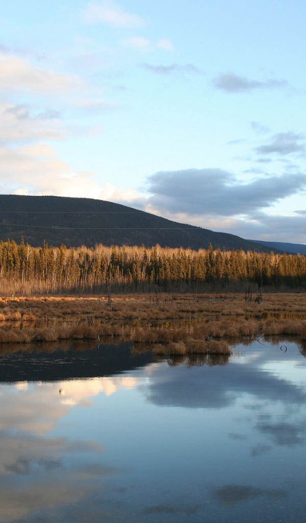 Поздняя осень