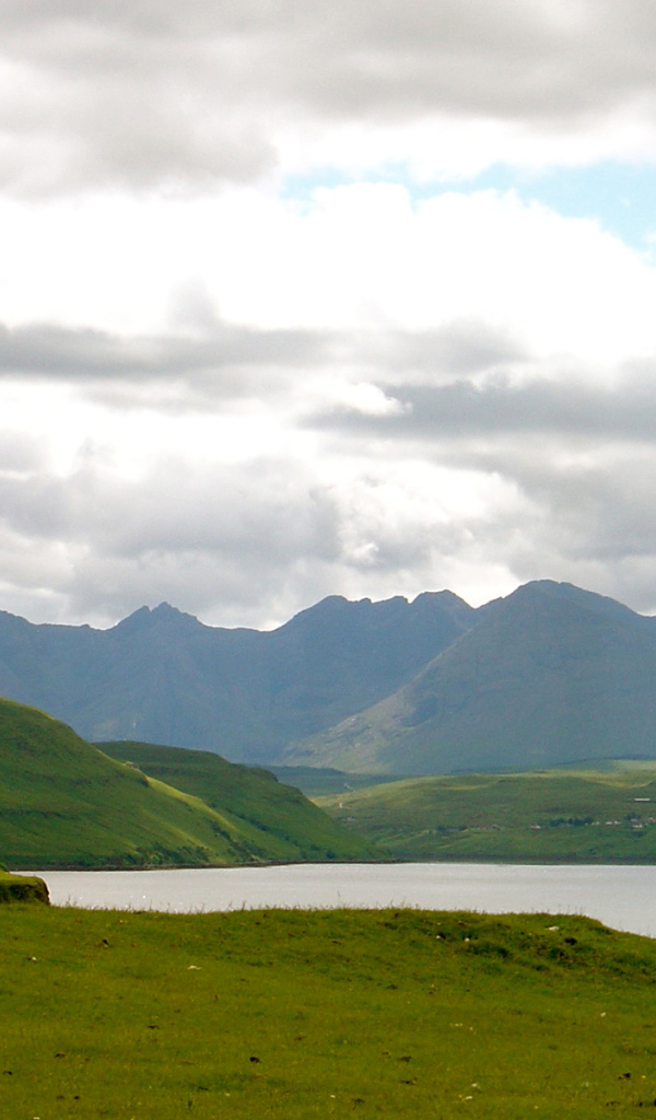 Зеленые поля