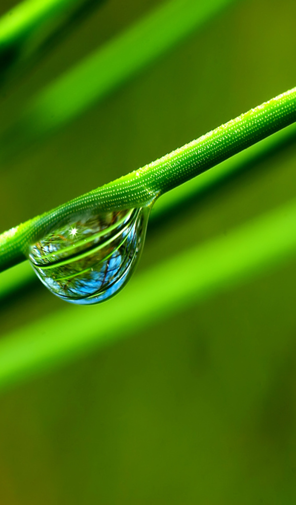 Windows Vista - обои на рабочий стол