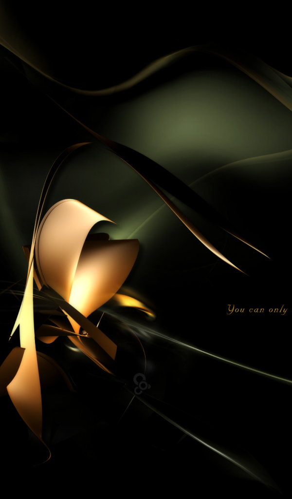 Черная вспышка