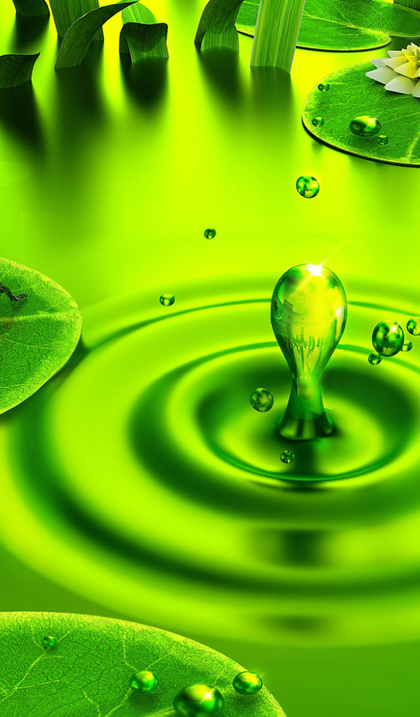 Зелень внизу