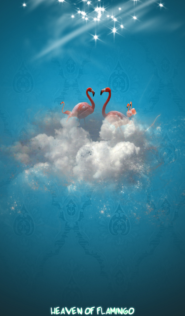 Рай фламинго