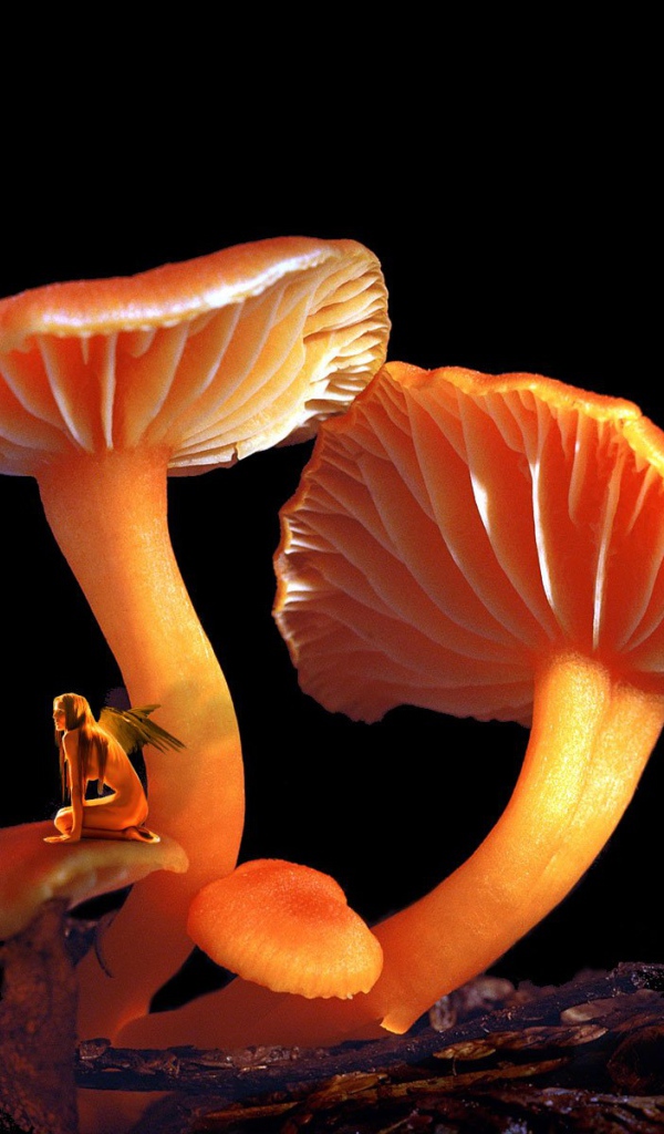 Грибной Эльф