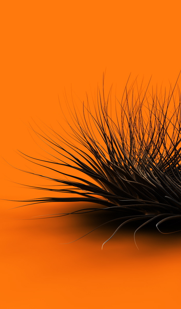 Оранжевый хаос