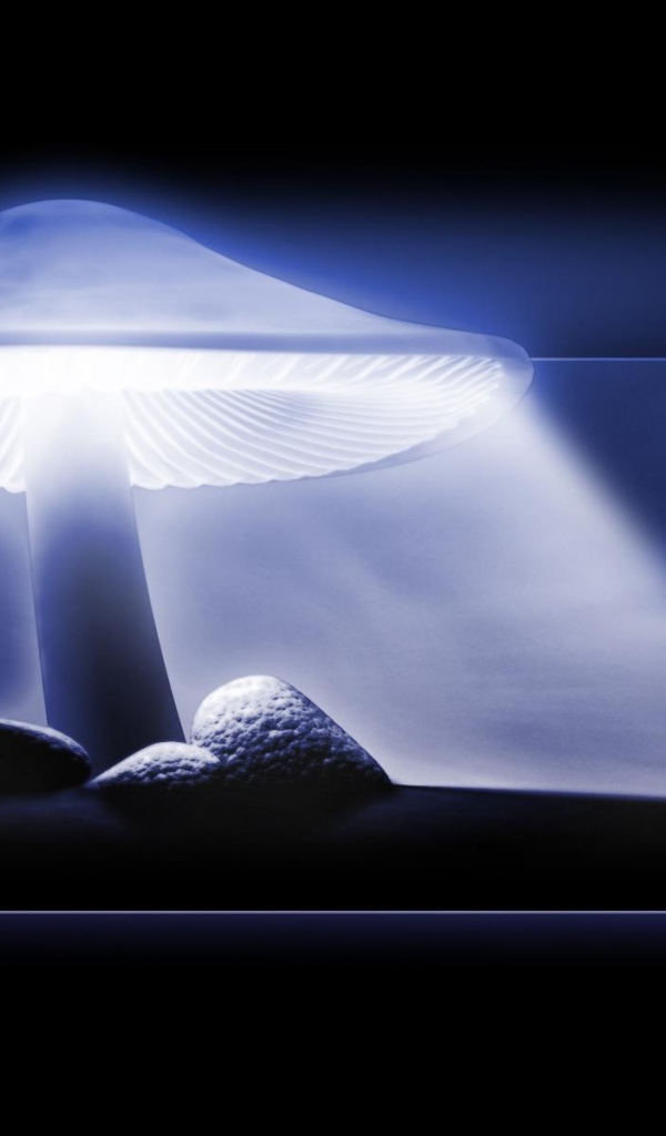 Защитный свет