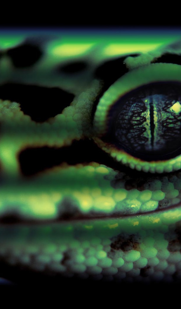 Змеиная голова