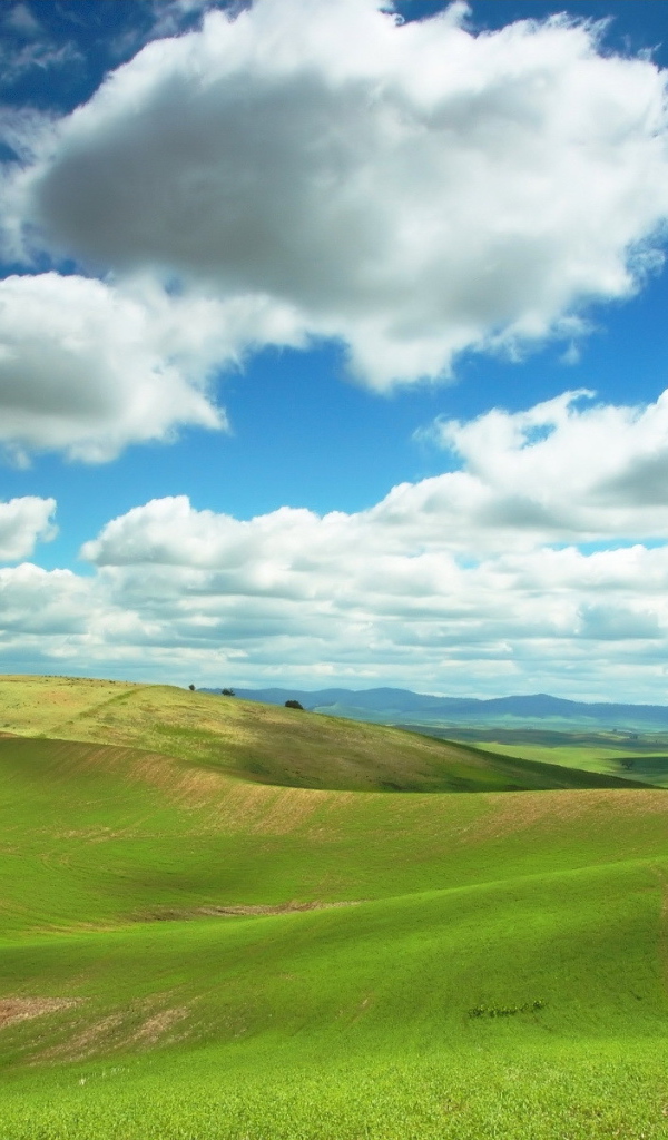 Зеленые холмы