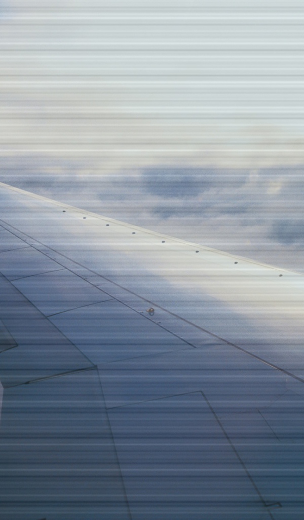 Мировые авиалинии