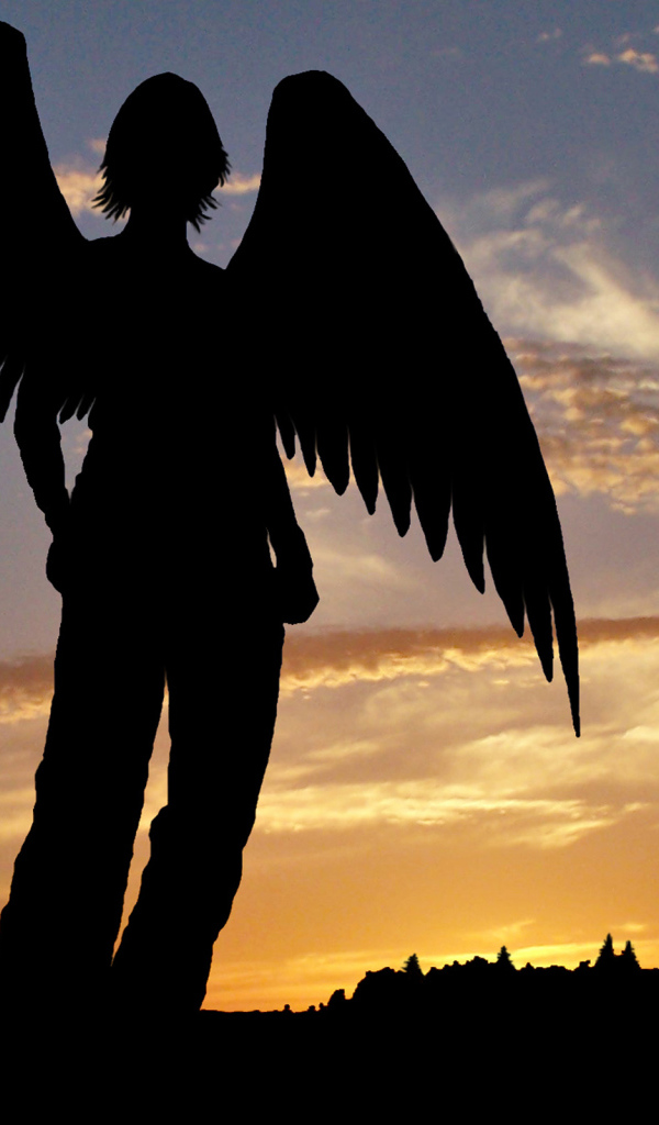 Тень ангела