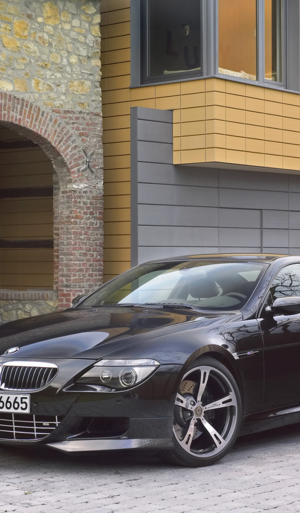 Schnitzer 2006 Вид спереди