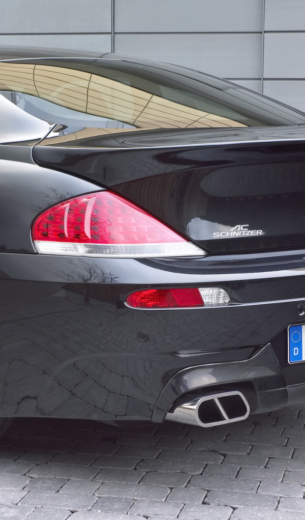 Schnitzer 2006 Вид сзади