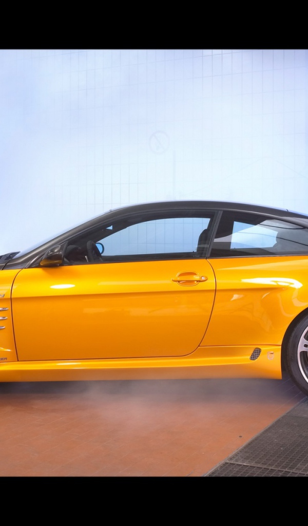 Schnitzer желто черный вид сбоку