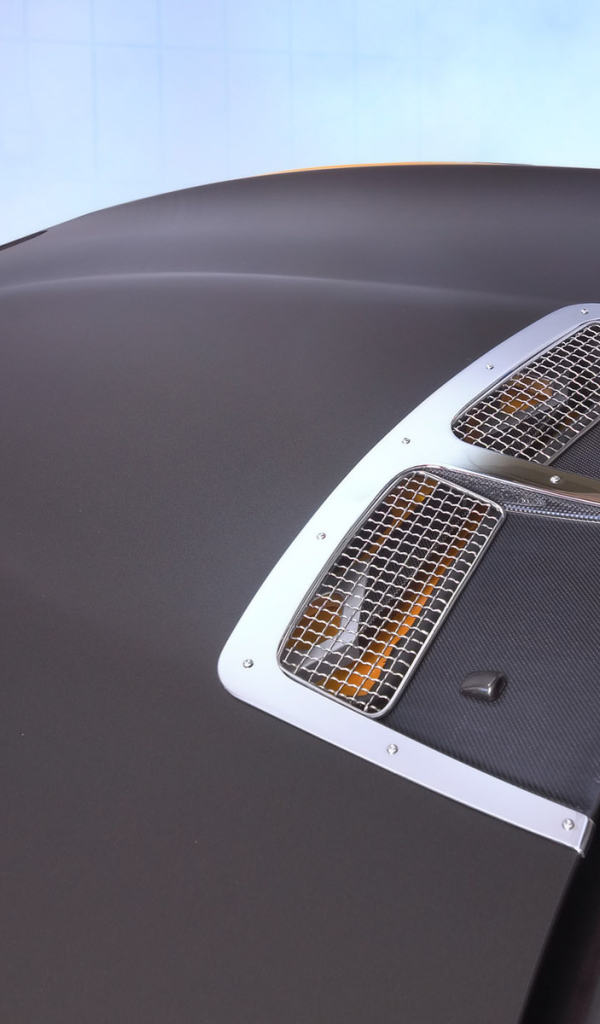 Капот Schnitzer