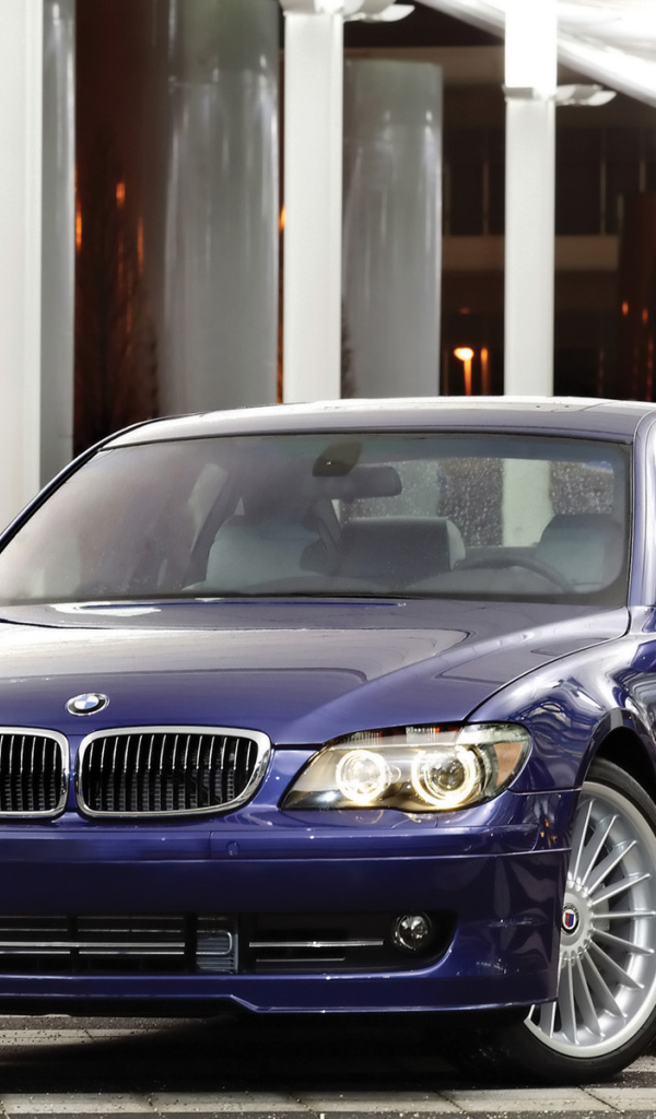 Перед синей BMW Alpine