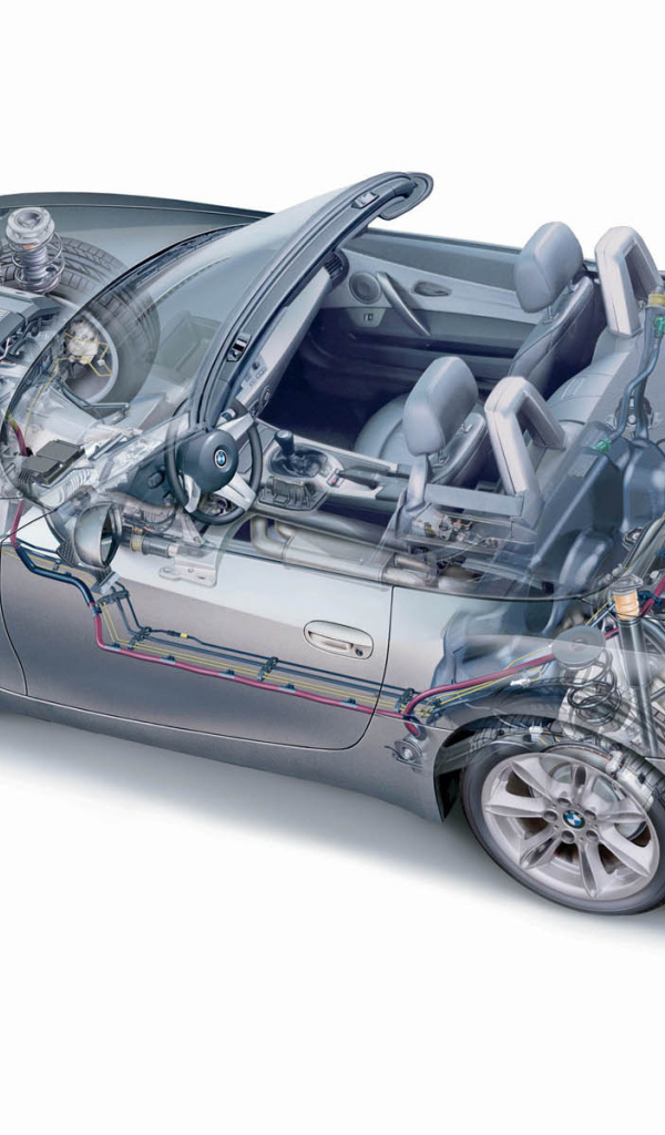 Z4 Organic рисунок