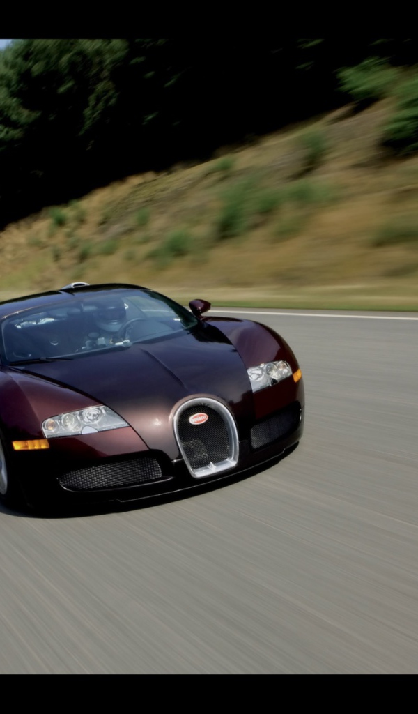 Мощный Bugatti Veyron