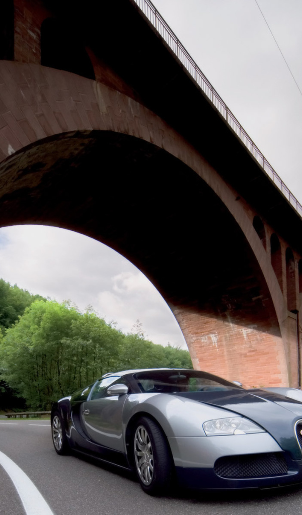 Veyron под мостом