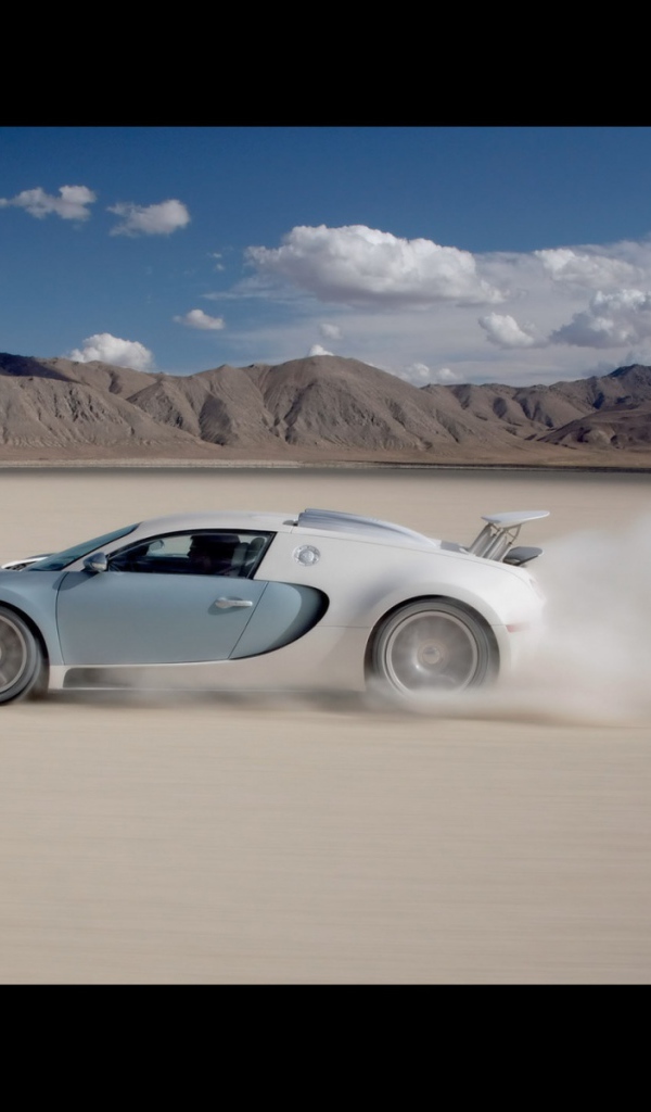 Гонки в пустыне на Bugatti Veyron