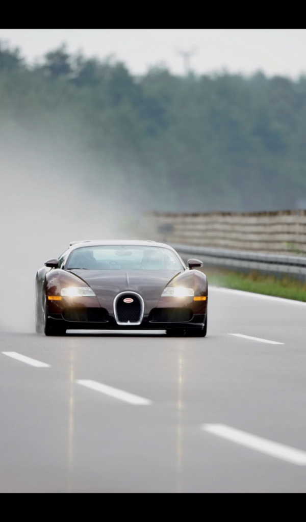 Veyron во время дождя