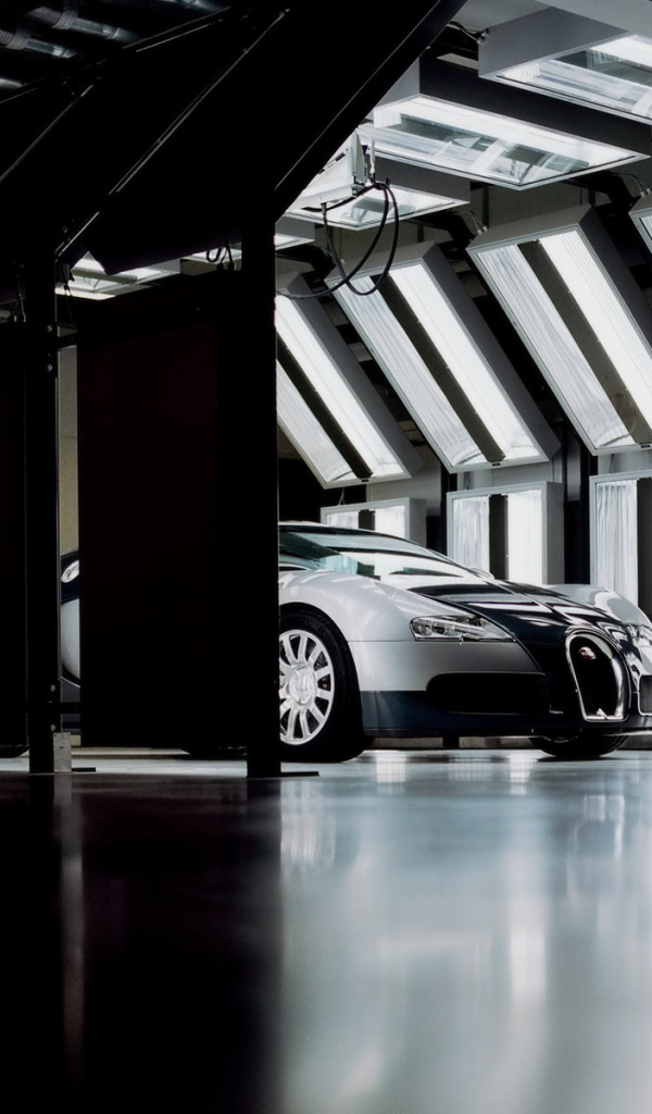 Bugatti в гараже