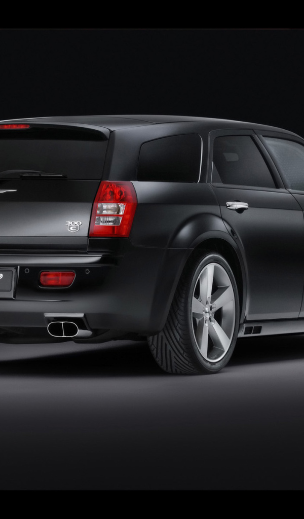 Стартеч вид сзади