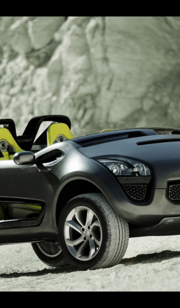 Ситроен Buggy