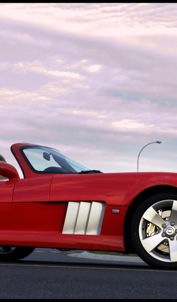 Красный спортивный Elfin