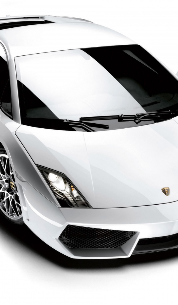 Белый Lamborghini Gallardo