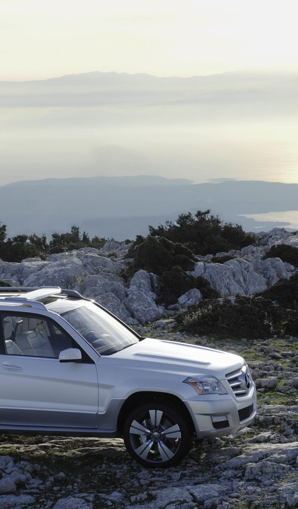 Новый Mercedes 2008 года