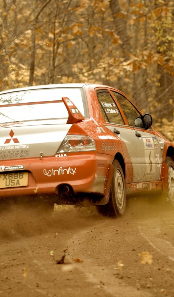 Mitsubishi ралли