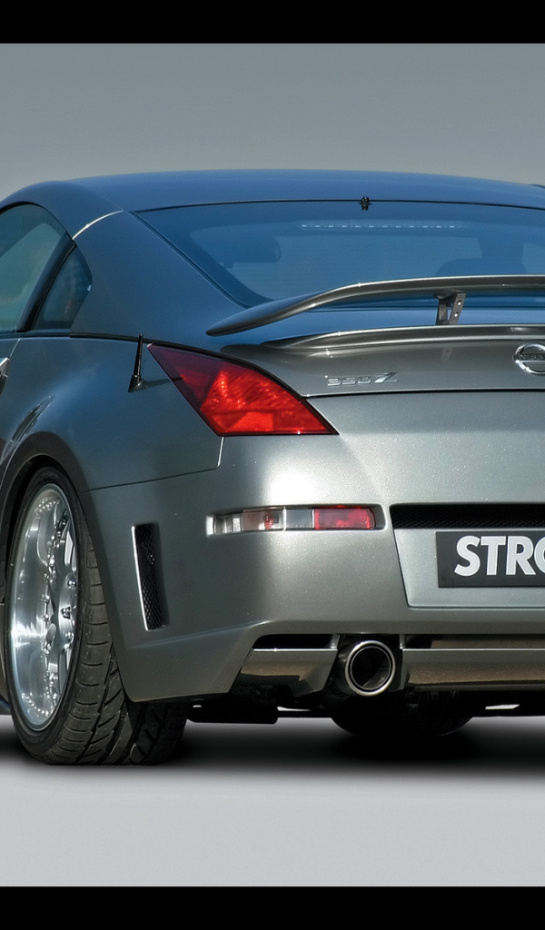 Strosek Nissan задний вид