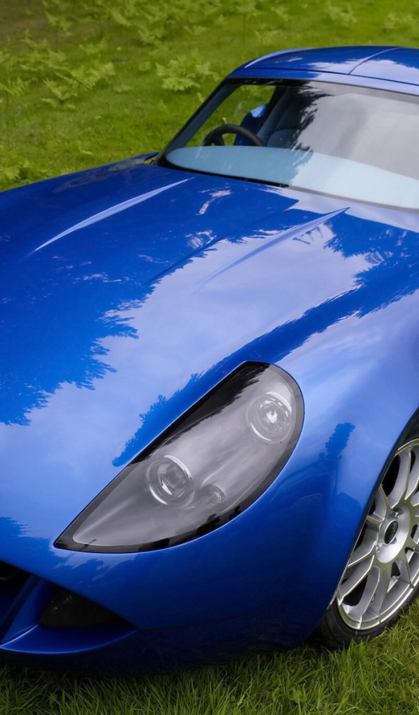 Синий Marcos TSO