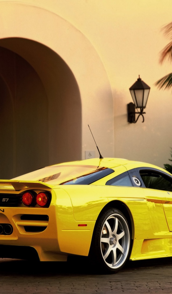 Saleen вид сзади