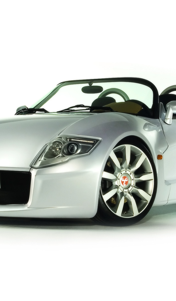 Автомобиль с положительным именем Yes Roadster