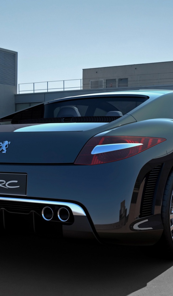 Зад Peugeot 908 RC