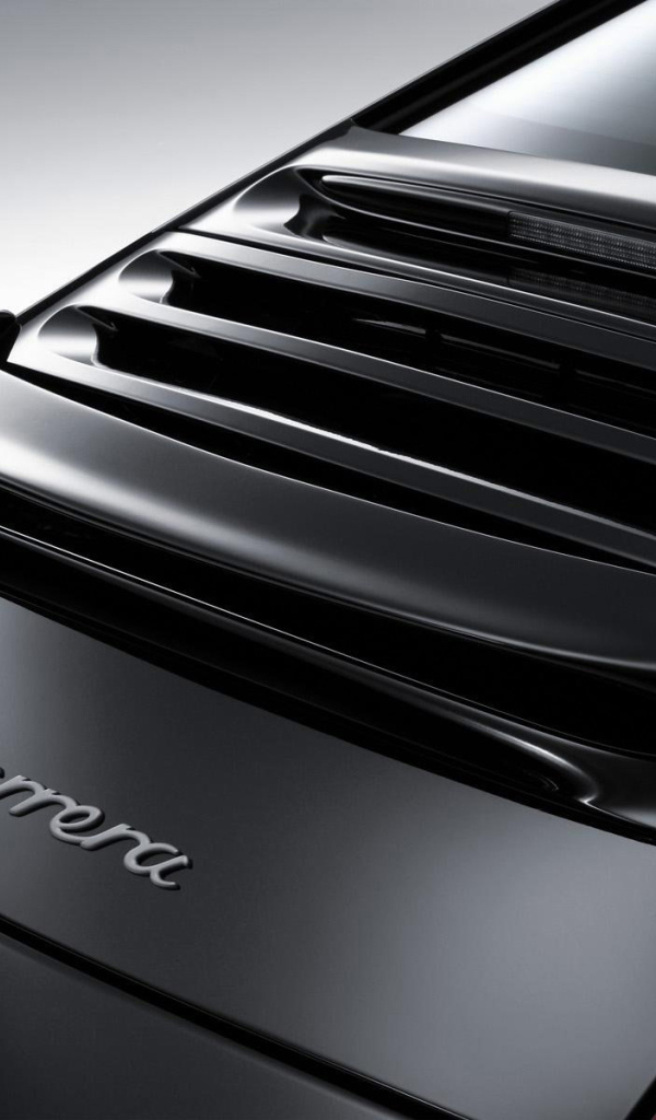 Логотип Carrera