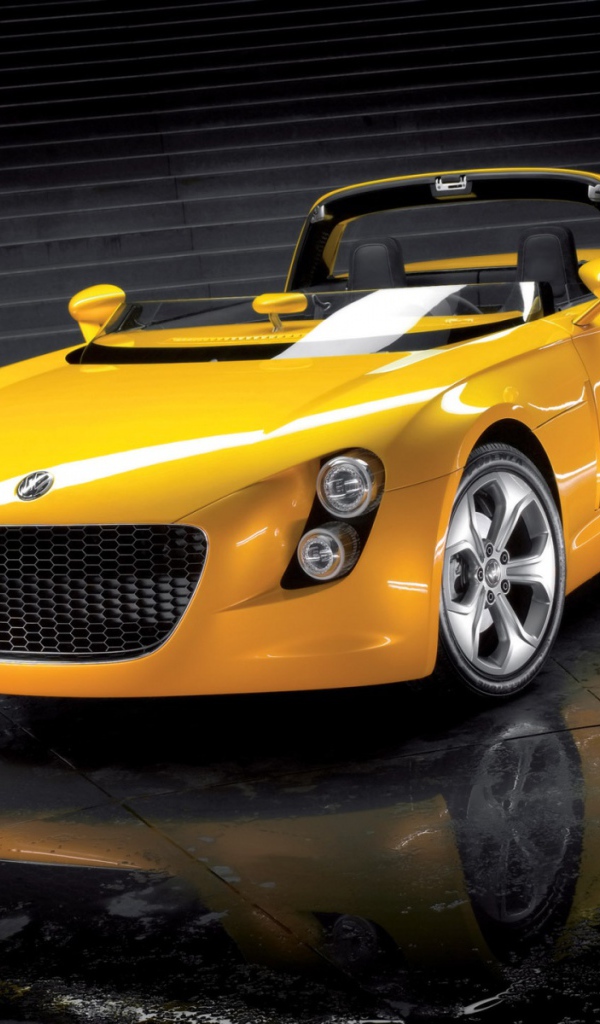 Немецкий спортсмен