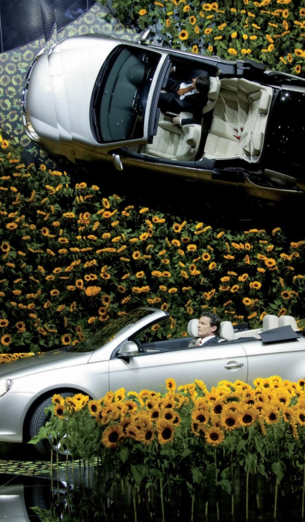 Volkswagen в цветах