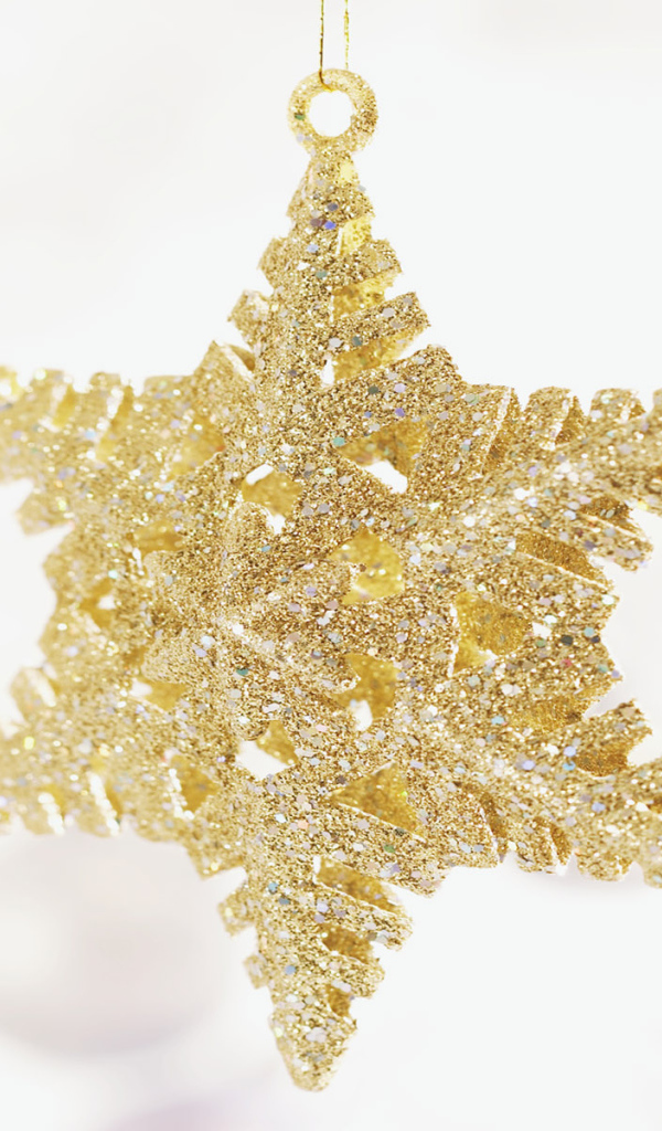 Рождественская звездочка