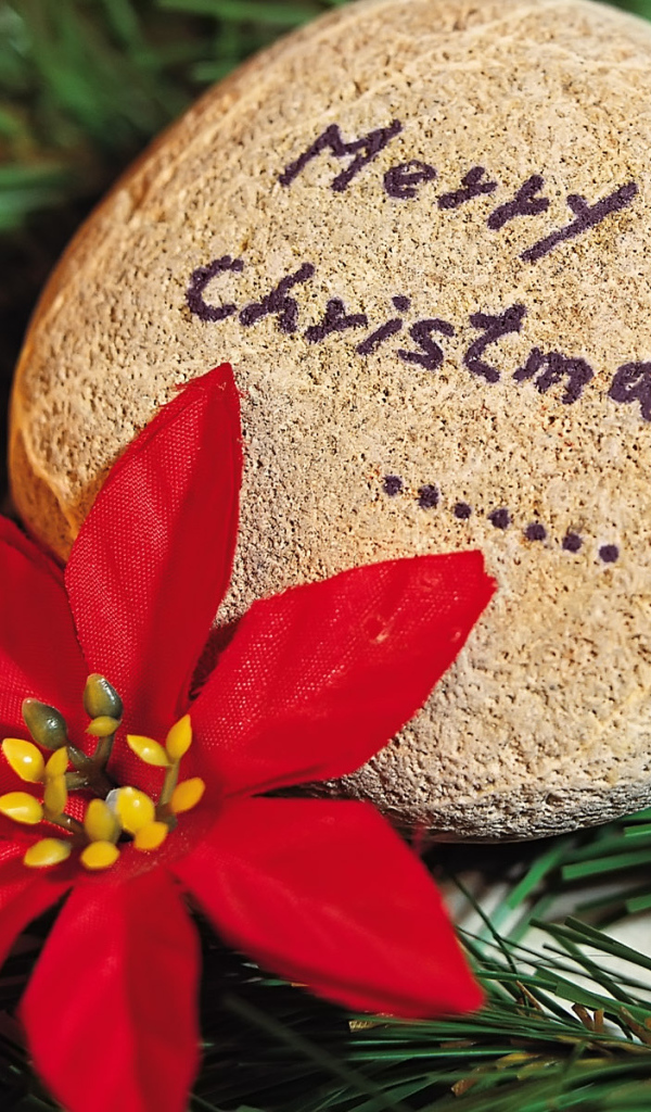 С праздником / Рождество