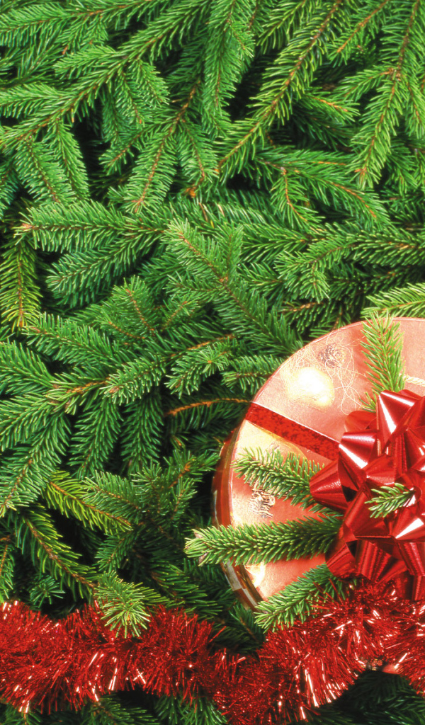 Подарок на Рождество / Рождество