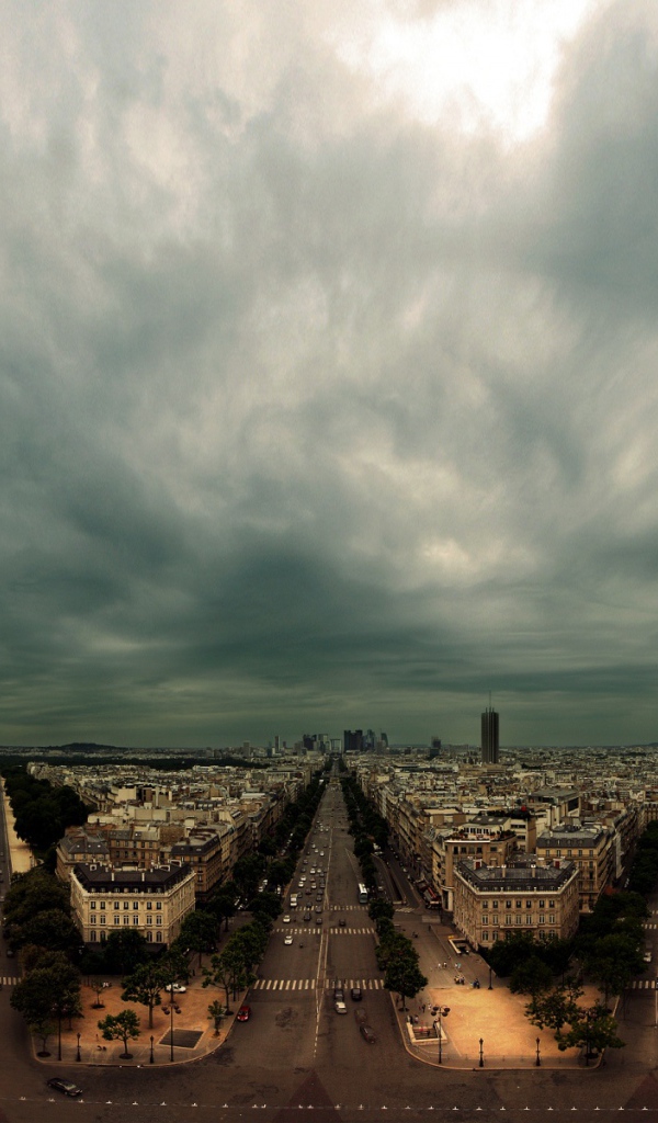 Дикий город