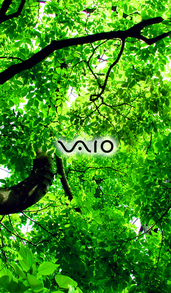 Производитель лоптопов Sony