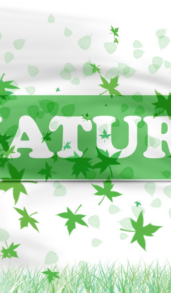 В натуре - природа